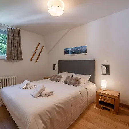 3p En Centre-ville Proche Des Pistes, Avec Wifi Et Parking - Fr-1-343-257